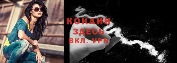 a pvp Каменногорск