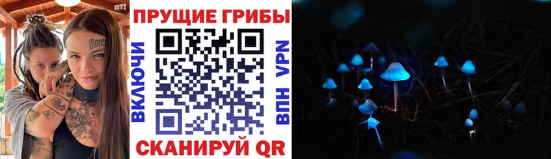 наркотики  Самара  гидра ONION  Галлюциногенные грибы MAGIC MUSHROOMS 