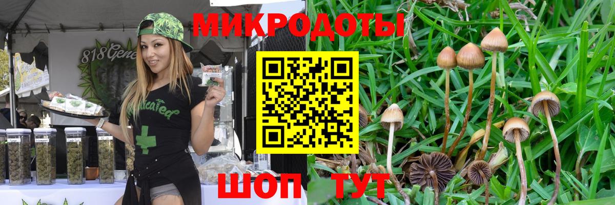 Галлюциногенные грибы Cubensis  Вход с VPN  Самара  Псилоцибиновые грибы Cubensis 
